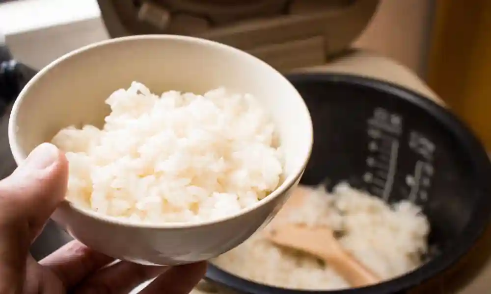 Japanese Rice Cooker