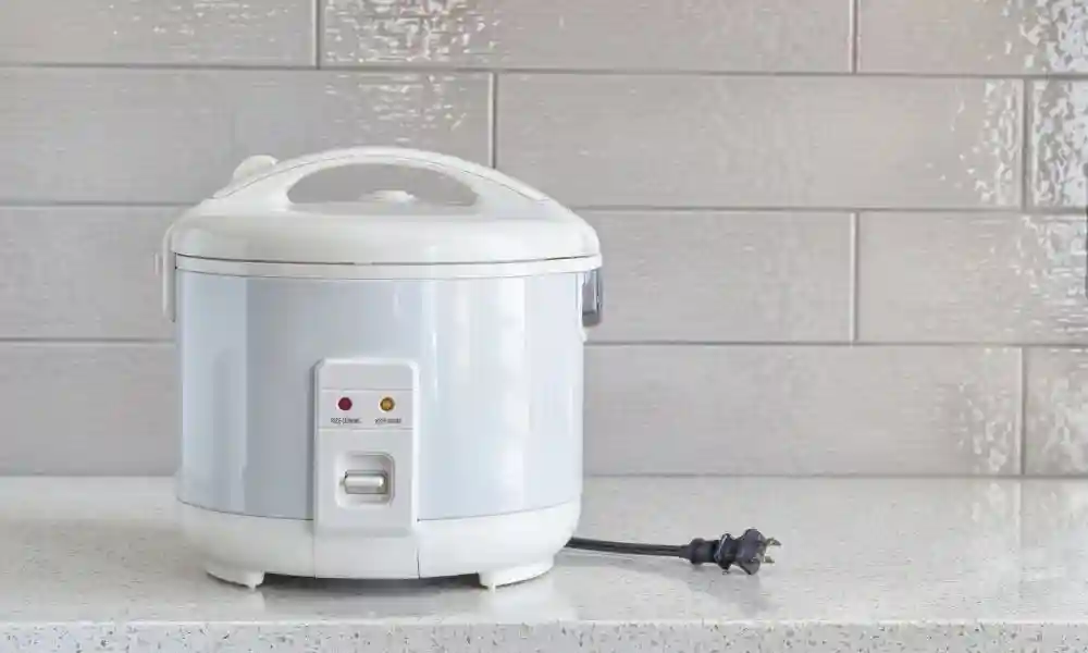 science behind rice cookers